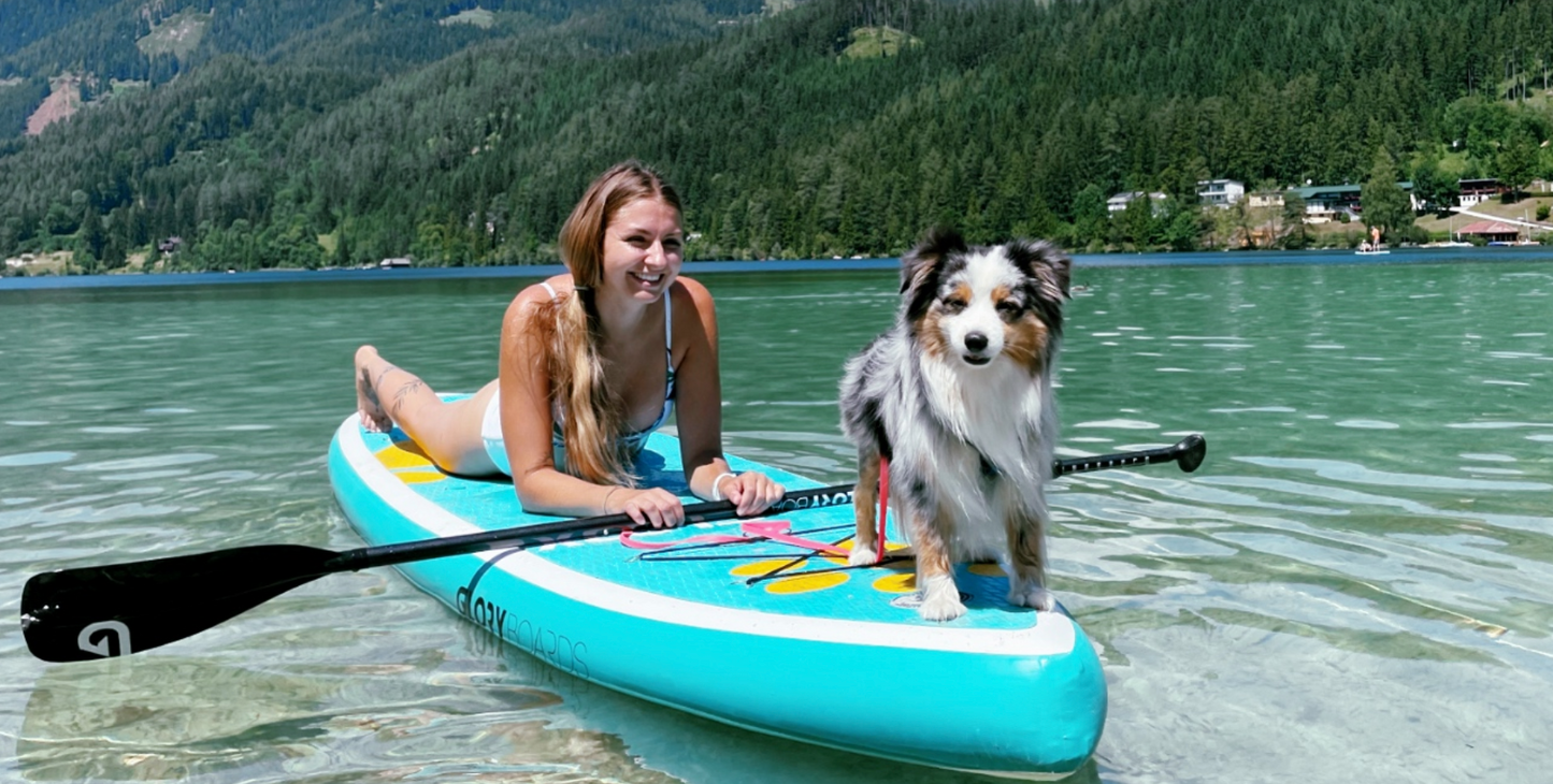 Stand Up Paddle PAW - SUP für Hunde geeignet